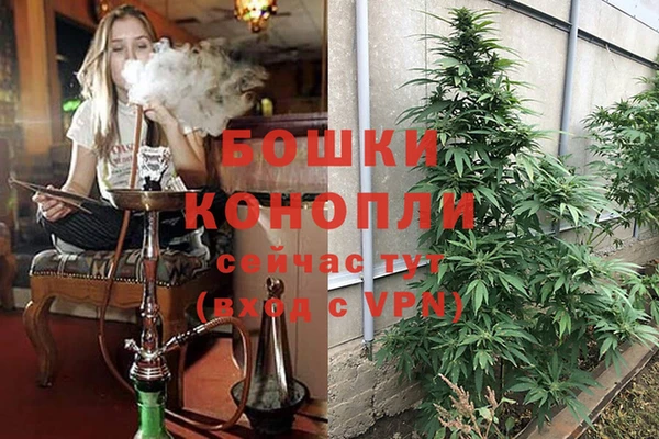 мяу мяу мука Абаза