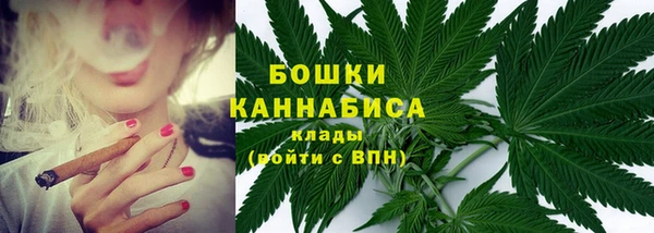 мяу мяу мука Абаза