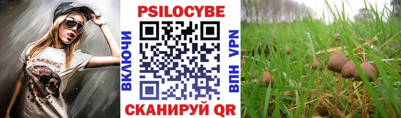 наркота  Кораблино  Галлюциногенные грибы Cubensis 